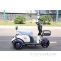 Tricycle électrique de batterie au lithium